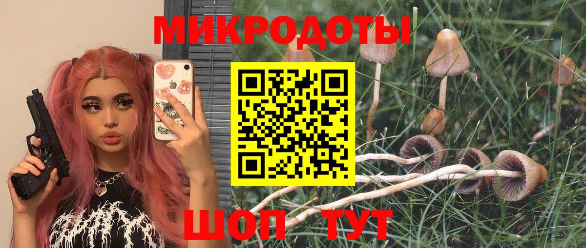 Ишим  Галлюциногенные грибы Psilocybe  Вход с VPN 
